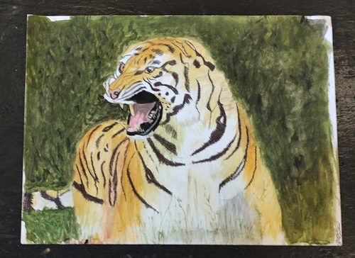 Peter, Tiger, watercolour & pen & ink.